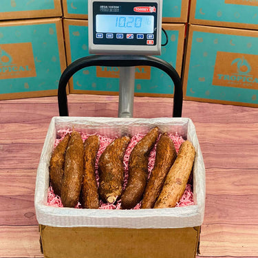 Yuca (Cassava Root) Box No Google Tropical Fruit Box